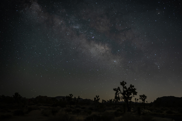 Stars over Joshua Tree National Park